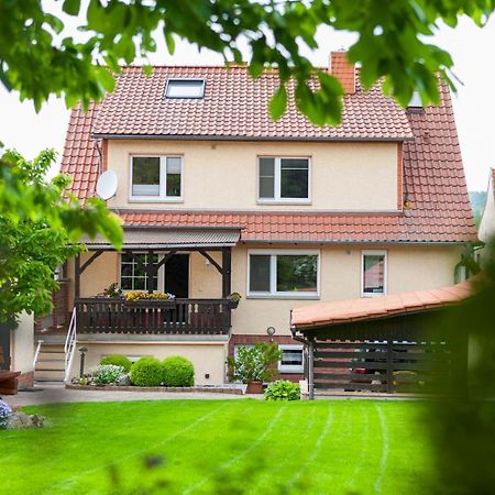 Ferienhaus Og1 "Westerwald Blick" Martinfeld Kültér fotó