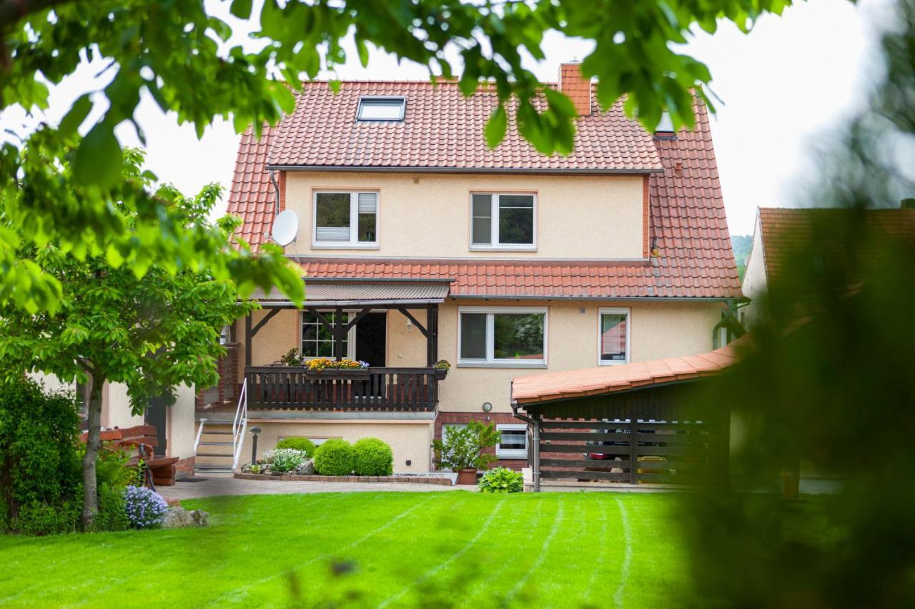 Ferienhaus Og1 "Westerwald Blick" Martinfeld Kültér fotó