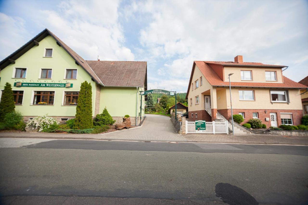 Ferienhaus Og1 "Westerwald Blick" Martinfeld Kültér fotó