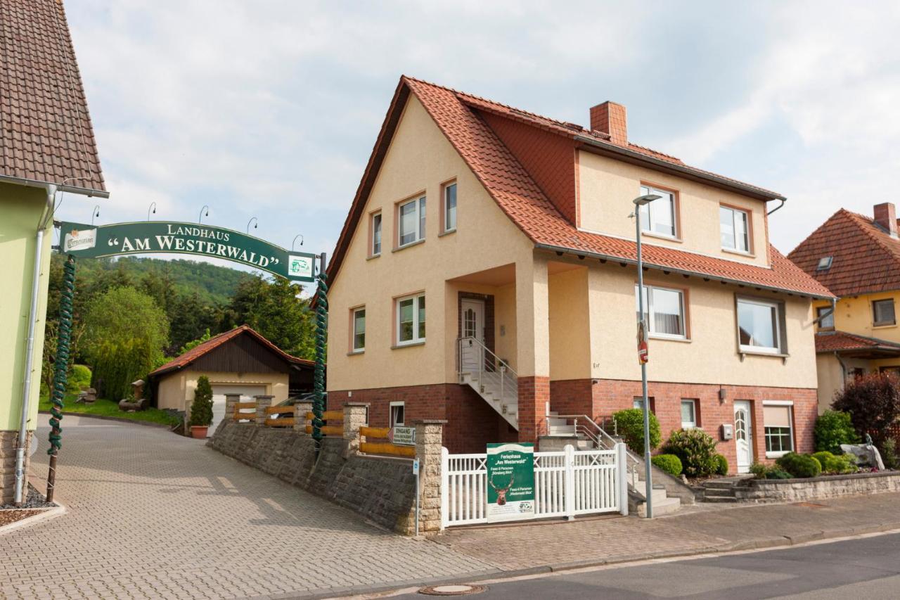 Ferienhaus Og1 "Westerwald Blick" Martinfeld Kültér fotó