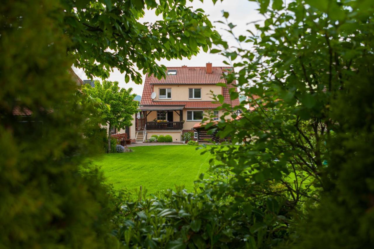 Ferienhaus Og1 "Westerwald Blick" Martinfeld Kültér fotó